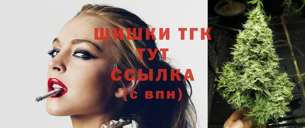 гидра Богданович