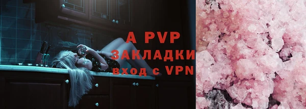 гидра Богданович