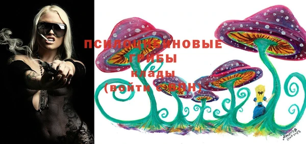 гидра Богданович
