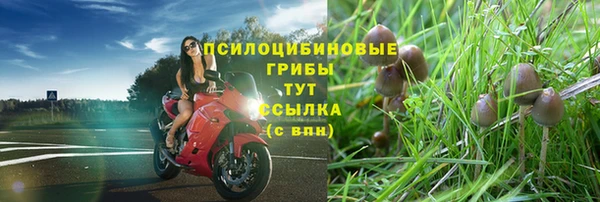 MDMA Premium VHQ Богородск