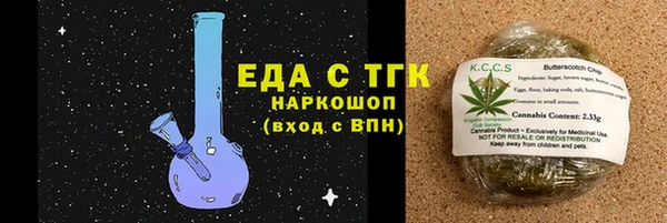 гидра Богданович