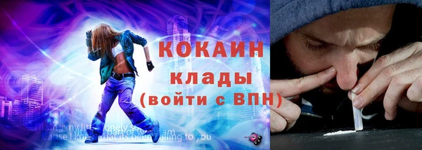 гидра Богданович