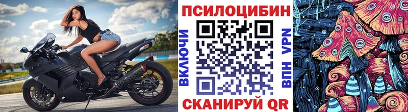 маркетплейс клад  Вязьма  Псилоцибиновые грибы Psilocybe 
