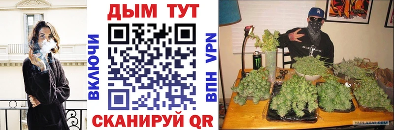 цены наркотик  Вязьма  Каннабис LSD WEED 